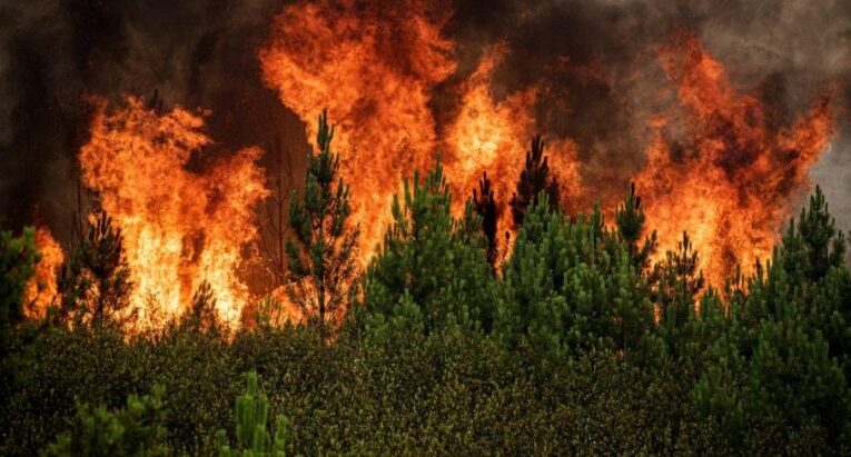 Incêndios em Cabeceiras de Basto