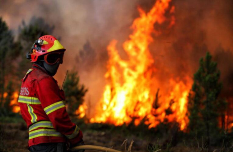 Incêndio em mato ameaçou casas em Cabeceiras de Basto