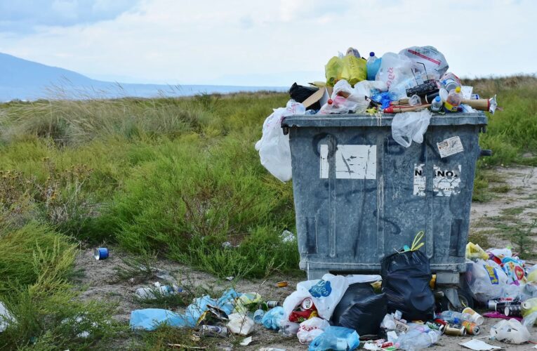 Câmara de Cabeceiras de Basto recolhe 22 toneladas de lixo em lixeiras clandestinas