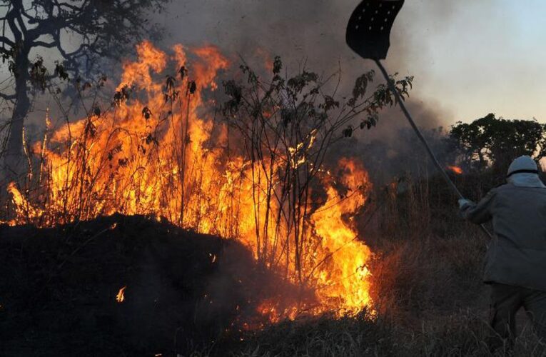 GNR identificou 7 suspeitos de atearem fogos em Cabeceiras, Celorico e Fafe